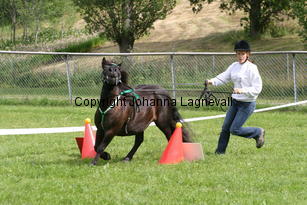 amandas_emmerosemma_1077.jpg