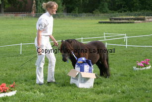 sofia_ostertorpsmalou_1305.jpg
