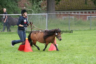 tomkorning_0956.jpg