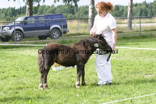 lyktansqlara_1169.jpg