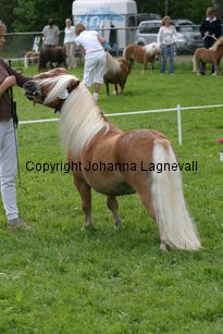graskaidor_1117.jpg