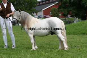 hasselbosdart_1018.jpg