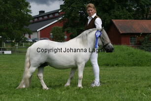 hasselbosdart_1020.jpg