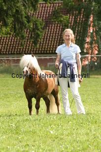 kompisyrrol_1150.jpg