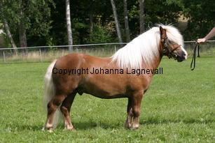 kompisyrrol_1153.jpg