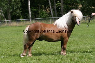 kompisyrrol_1155.jpg