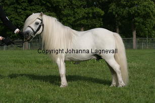 lovespring_1347.jpg