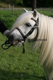 lovespring_1350.jpg