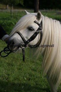 lovespring_1351.jpg