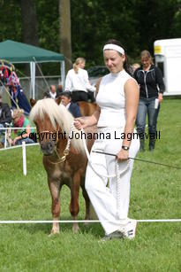 primoravfriheten_1004.jpg