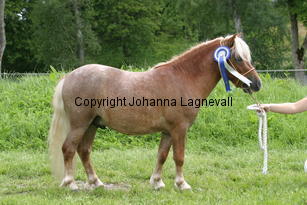 primoravfriheten_1006.jpg