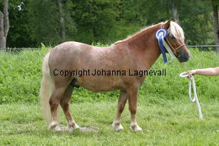 primoravfriheten_1007.jpg