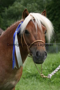 primoravfriheten_1011.jpg