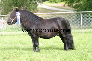 ytterhallsmistral_1256.jpg