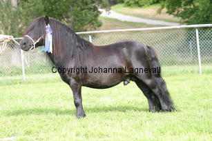 ytterhallsmistral_1258.jpg
