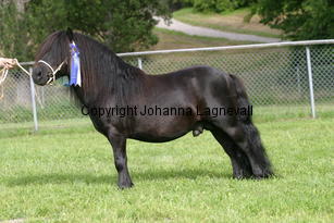 ytterhallsmistral_1259.jpg