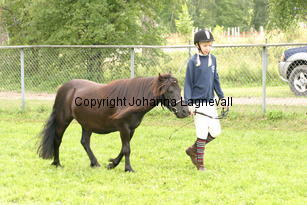 johanna_dalsgardsgoldengirl_1226.jpg