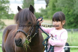 thea_zorro_1233.jpg
