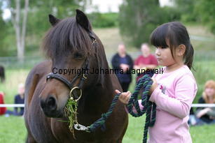 thea_zorro_1234.jpg