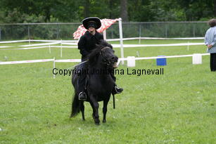 zorro_1044.jpg