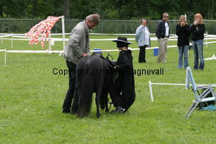 zorro_1045.jpg