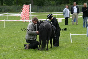 zorro_1046.jpg
