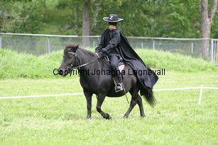zorro_1047.jpg