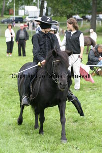zorro_1059.jpg