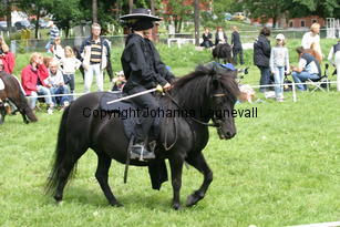 zorro_1065.jpg