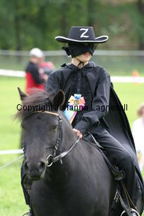 zorro_1071.jpg