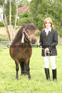 amanda_shebelina_1225.jpg