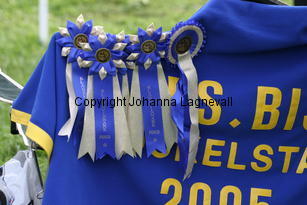 hamrarosetter_1308.jpg
