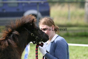 liljegardensalice_1170.jpg