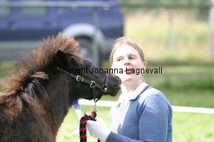 liljegardensalice_1171.jpg