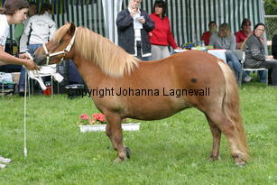 abelle_0951.jpg