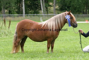 dalsgardshillevi_0954.jpg