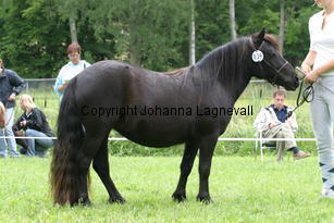 ekskogenshedvig_0969.jpg