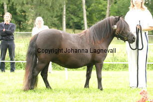 zsazsa_0942.jpg