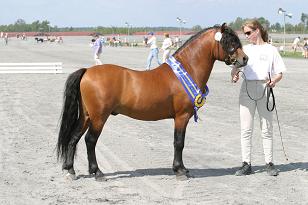 sjoarydsivanhoe_135_3521w.jpg