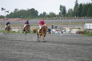 tejasbelmino_max_136_3661w.jpg