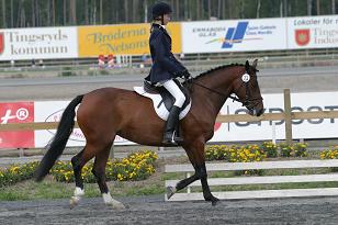 stackarpsdaniellarnf1927_sophie_136_3676w.jpg