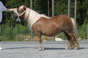 amazeofeastlandrs4753_136_3695w.jpg