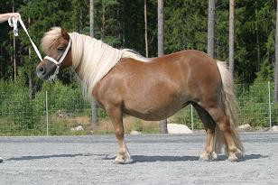 amazeofeastlandrs4753_136_3696w.jpg