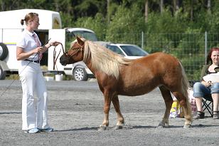 carna_136_3688w.jpg