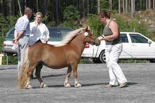 junibackenscrashboombang_136_3684w.jpg