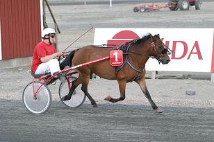 candika_carlhenrik_135_3553w.jpg