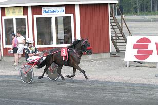 gottelona_joakim_135_3561w.jpg