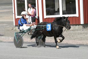 manstorpsfax_malin_136_3618w.jpg