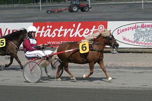 pernilla_linn_135_3583w.jpg