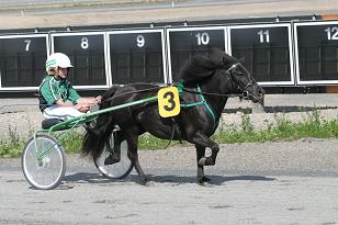 tremil_maija_135_3588w.jpg